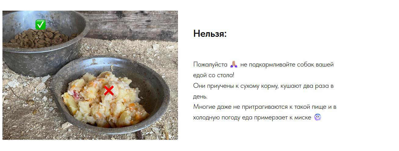 Нельзя кормить со стола